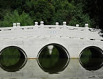 Bridges pictures