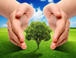 Environmental Concepts And Ideas pictures