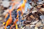 Leaves Burning Hazard Stock Photo