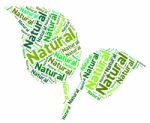 Natural Word Means Bio Rural And Environment Stock Photo