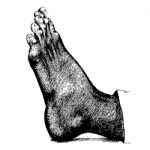 Left Human Foot Hand Drawn Stock Photo