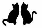 Cats On White Background Stock Photo