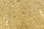 Background Of Sand Grains On The Beach, Yellow Floor Of Sand Grains On The Beach Stock Photo