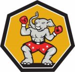 Elephant Mascot Boxer Cartoon Stock Photo