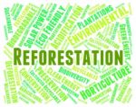 Reforestation Word Means Reforesting Forests And Woodland Stock Photo