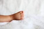 New Born Baby Foot Stock Photo