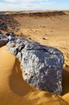 Bush Old  In  The Desert Of Morocco Sahara And Rock  Stone Sky Stock Photo