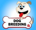 Dog Breeding Represents Husbandry Puppies And Reproduce Stock Photo