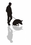 Man With A Pig On A Leash Stock Photo
