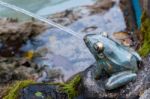 Brass Frog Fountain In Mandello Del Lario Stock Photo