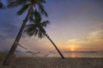 Sunrise With Coconut Palm Trees And Hammock On Tropical Beach Background Stock Photo