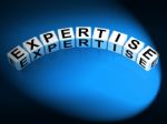 Expertise Dice Mean Expert Skills Training And Proficiency Stock Photo