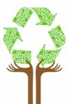 Recycle Tree Stock Photo