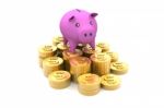 Piggy Bank With Golden Coins Stock Photo