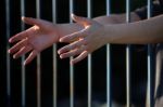Hands In Jail Stock Photo