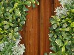 Wooden Way In A Garden Stock Photo