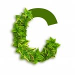 Letter C With Leaves Stock Photo