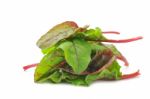 Red Chard Salad Leaves Stock Photo