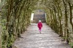 Young Girl Running Through An Arch Of Beech Trees Stock Photo