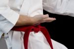 Hand Fighter Karate Stock Photo