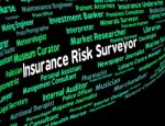 Insurance Risk Surveyor Indicates Unsafe Work And Word Stock Photo