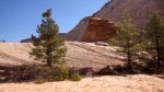 Strange Rock Formation And Checkerboard Mesa In Zion Stock Photo