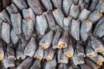 Dried Fish In The Market Stock Photo