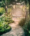 Meaningful Quote On Blurred Garden Background Stock Photo
