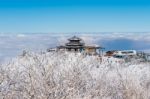 Deogyusan,korea - January 23: Tourists Taking Photos Of The Beautiful Scenery And Skiing Around Deogyusan,south Korea On January 23, 2015 Stock Photo