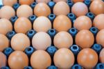 Eggs Chicken For Eat Stock Photo