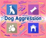 Dog Aggression Represents Angry Aggressor And Pet Stock Photo