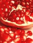 Pomegranate Stock Photo