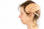 Head Of Woman With Model Of Human Brains Stock Photo