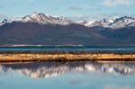 Autumn In Patagonia. Tierra Del Fuego, Beagle Channel And Chilea Stock Photo