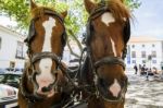 Double Horse Carriage Parked Stock Photo