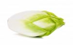 Fresh Chicory Isolated On A White Background Stock Photo