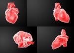 3d Rendering Of The  Red Heart Stock Photo
