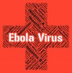 Ebola Virus Represents Microbe Pathogens And Disease Stock Photo