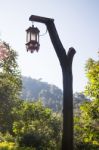 Hanging Old Street Lamp In The Garden Stock Photo