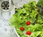 Wash Salad Stock Photo