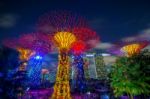 Singapore - Feb 11 , 2017 : Super Tree In Garden By The Bay, Singapore Stock Photo
