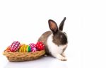 Rabbit With Easter Eggs Isolated On White Background Stock Photo
