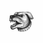 Rottweiler Dog Head Growling Tattoo Stock Photo