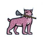 Bobcat Or Lynx Lacrosse Mascot Stock Photo