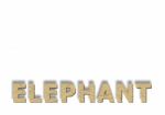 Elephant Texture In The Text Stock Photo
