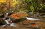 Autumn River Stock Photo