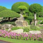 A Beautiful Park With Trees And Flowers Stock Photo