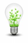 Bulb With Plant Stock Photo