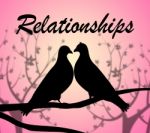 Relationships Doves Shows Find Love And Affection Stock Photo