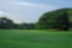 Lawn And Trees With Blurred Background Stock Photo
